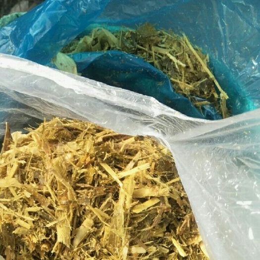 惠民县牛羊饲料 
