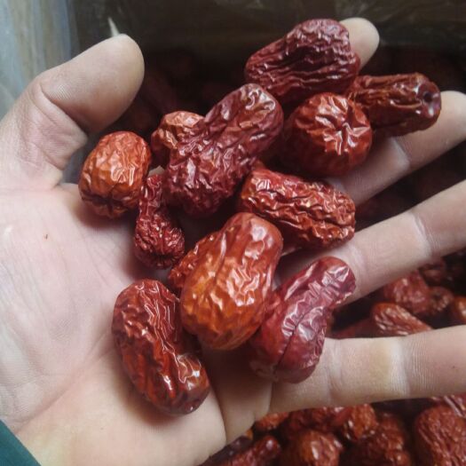 南阳新疆大枣 一级 