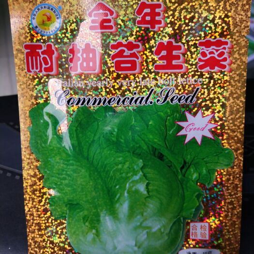 成都生菜种子 全年耐抽苔 四季可用 生菜