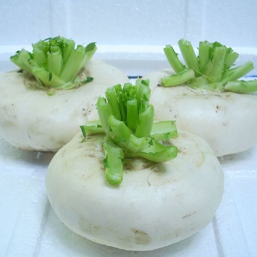 玉环市盘菜