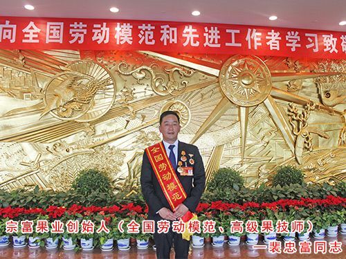 成都春晓桃树苗 1.5~2.0米