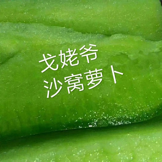 天津 水果萝卜