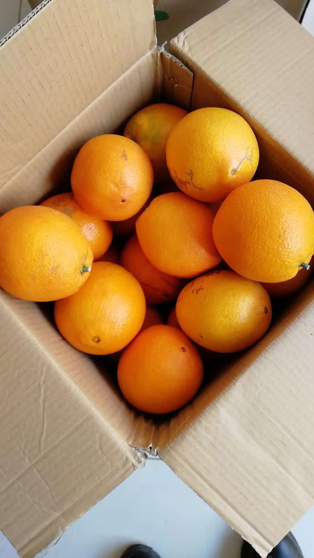 赣南脐橙 80-85mm 4-8两 