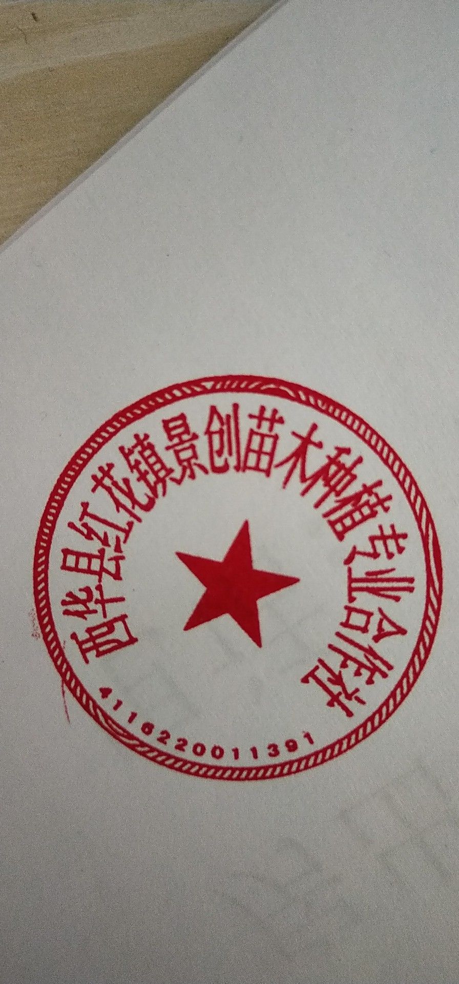 河南楸