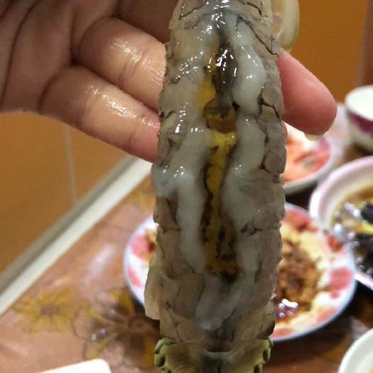 东港市虾爬子