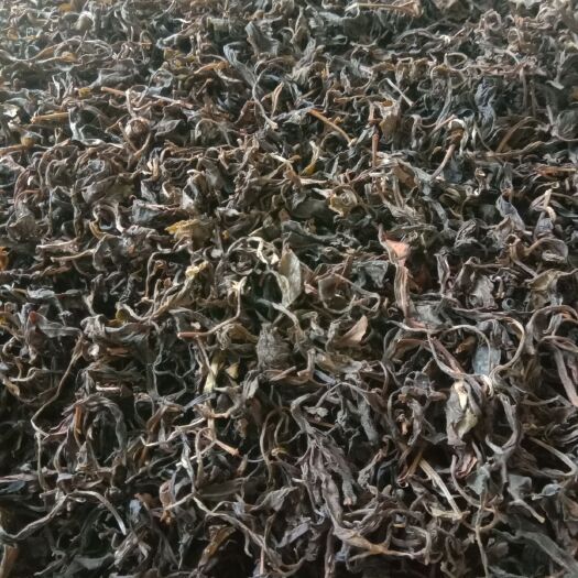 梧州广西六堡茶  农家茶叶