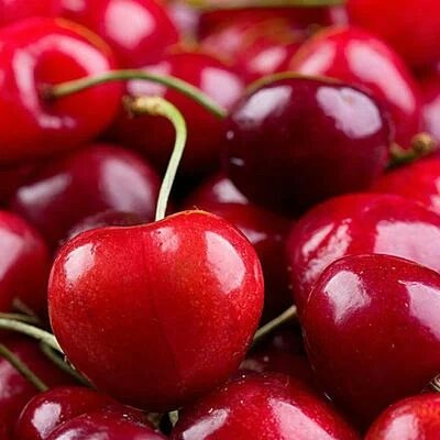咸阳美早苗红灯 齐早  俄8嫁接苗  保品种 现挖苗 假一赔十