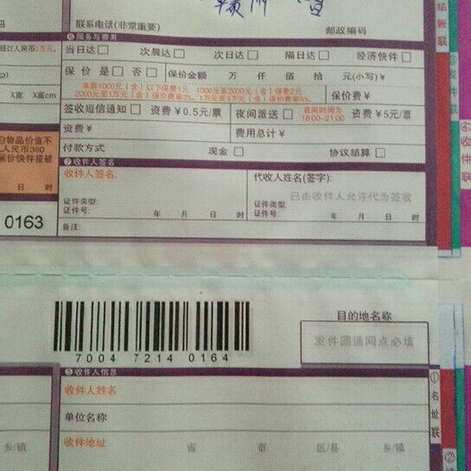秀山伦晚脐橙苗 嫁接苗 3.5~5米