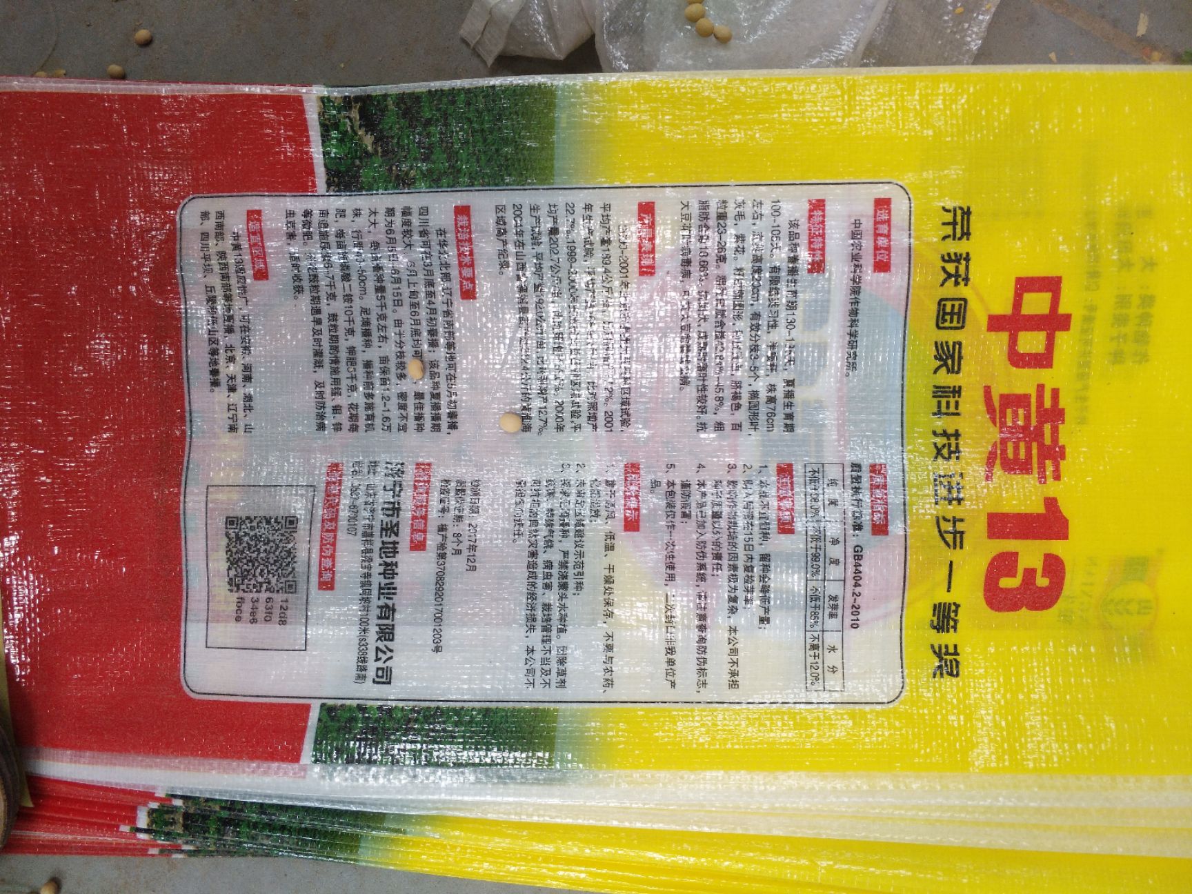 中黄13黄豆 生大豆 1等品 