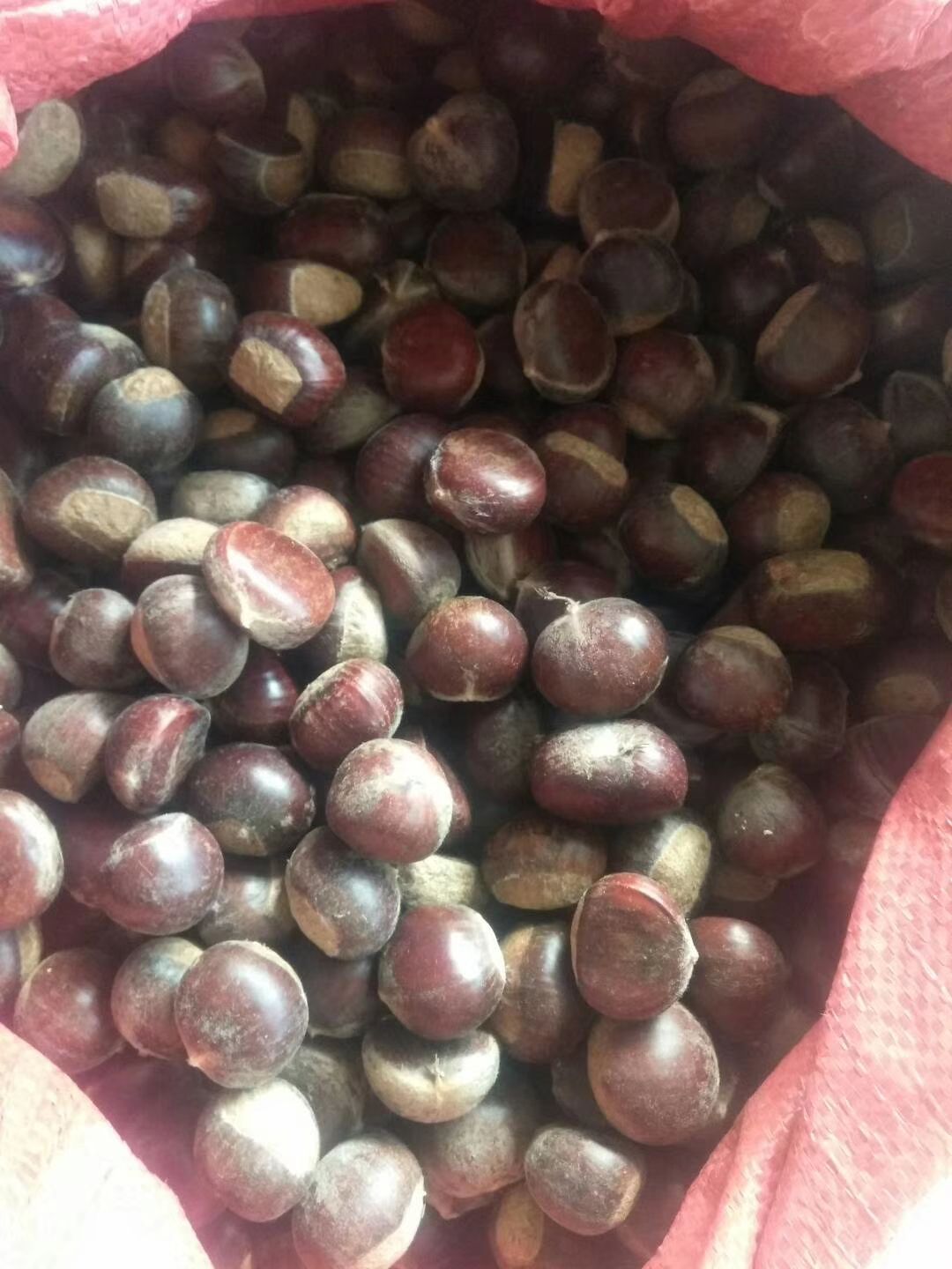 泰山板栗 特级 特选 