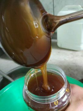 岷县黄芪蜜蜂 塑料瓶装  2年