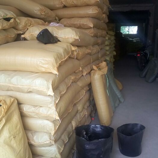 沭阳县育苗袋/育苗杯/容器袋 营养杯黑色聚丙烯材料8*8一包有2000个包装，一万个包装