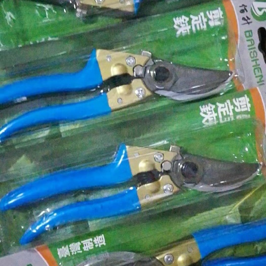 修枝剪刀 剪树枝剪刀 工具修枝剪粗枝剪刀手工剪