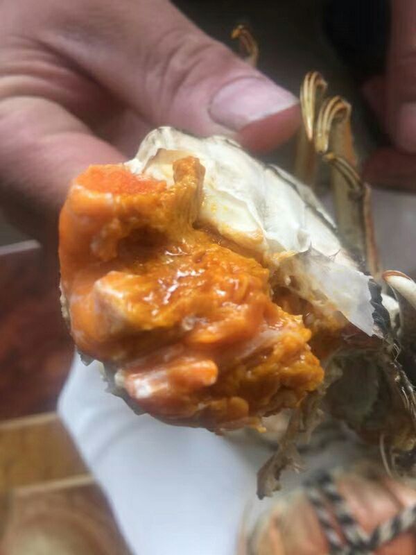 兴化螃蟹 3.5两 母蟹 