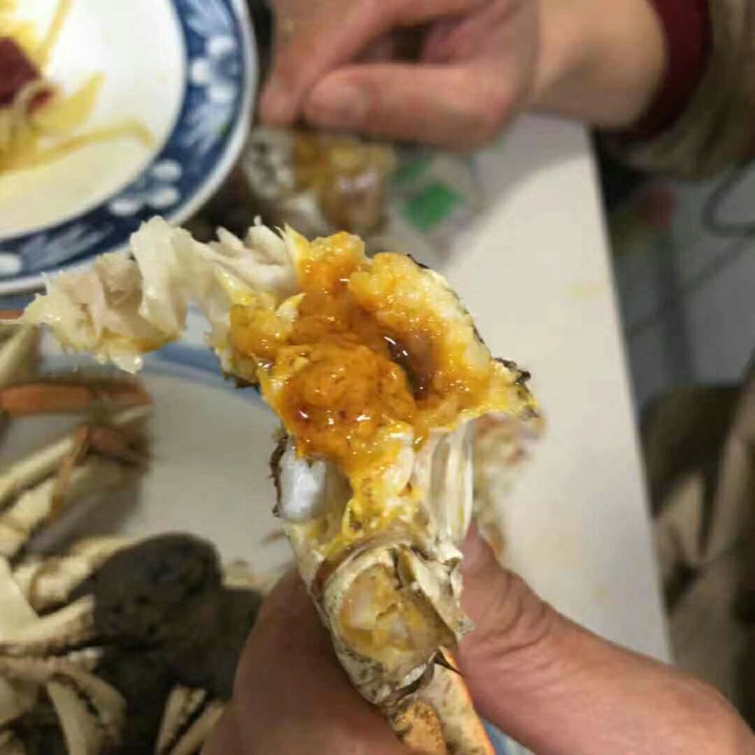 兴化螃蟹 3.5两 母蟹 