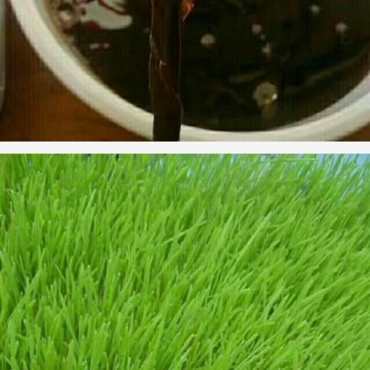 张家界麦芽糖 