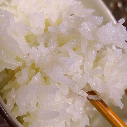 五常市稻花香二号大米 中稻 粳米 一等品 