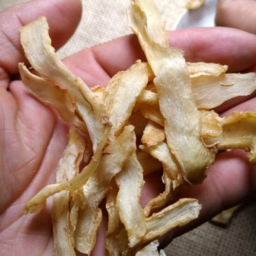 广州玉竹
