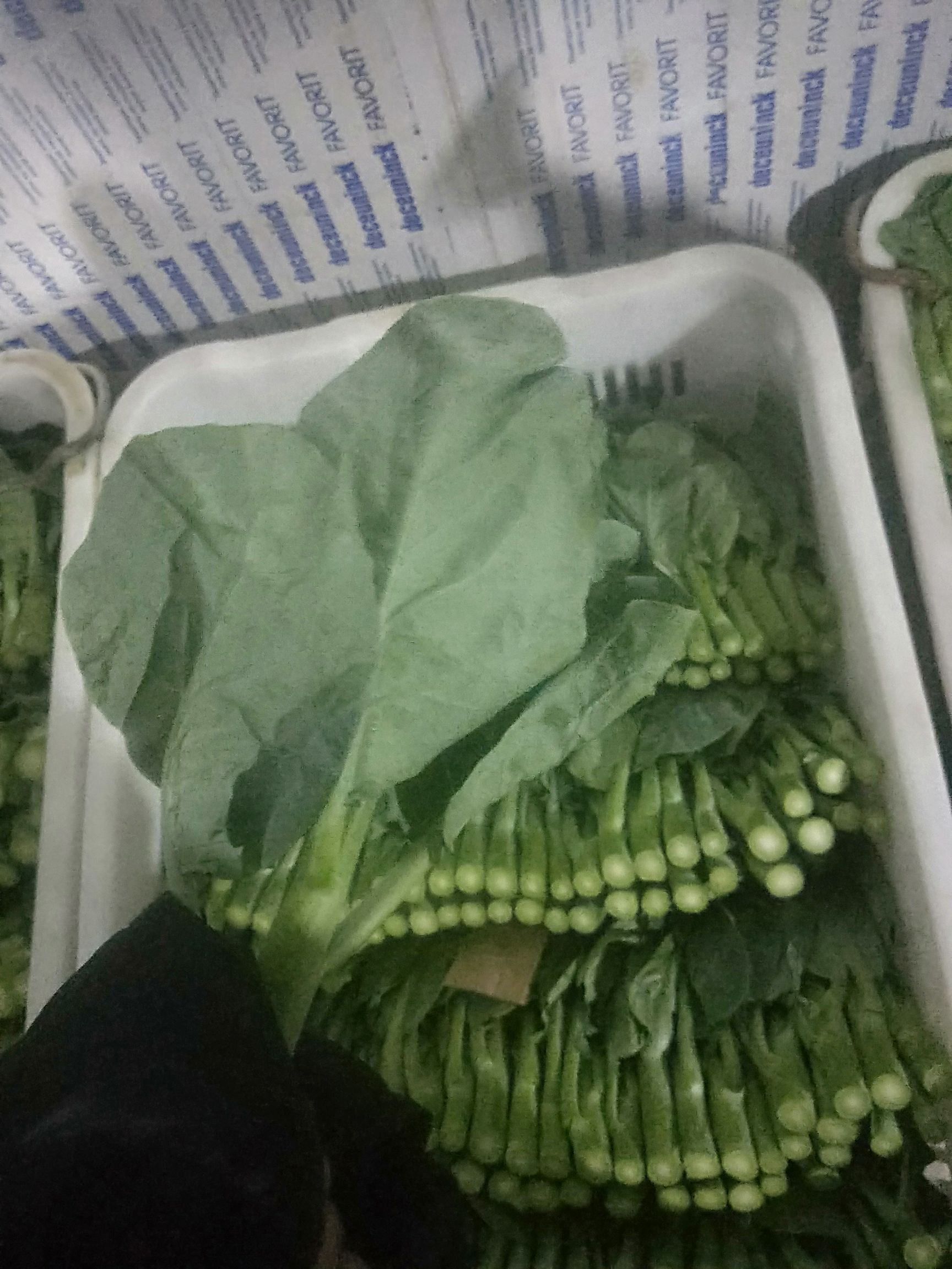 芥蓝  自家基地种植，现摘现发，保证新鲜。