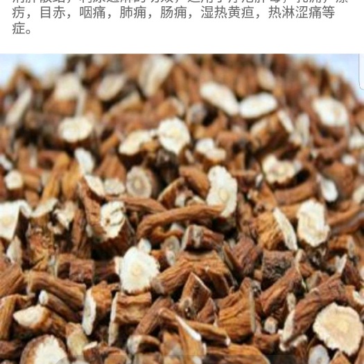 东港市蒲公英