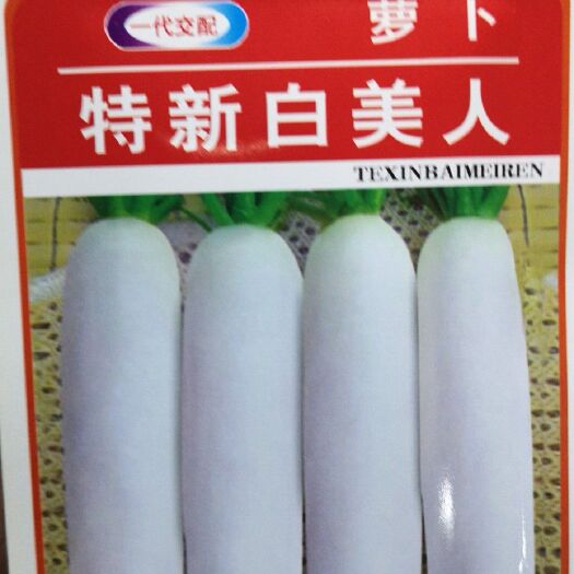 济南春白玉萝卜种子 杂交