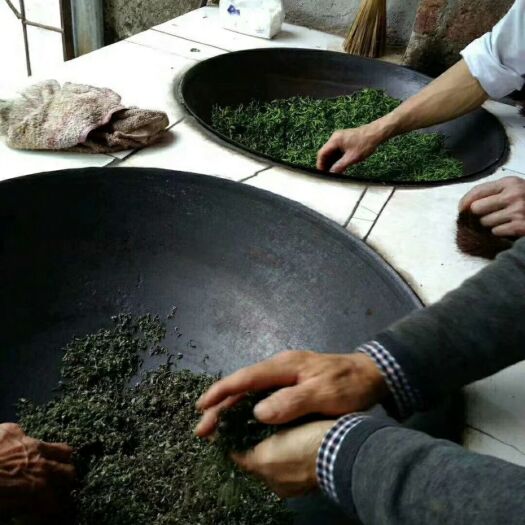 遂川县高山绿茶 袋装 一级