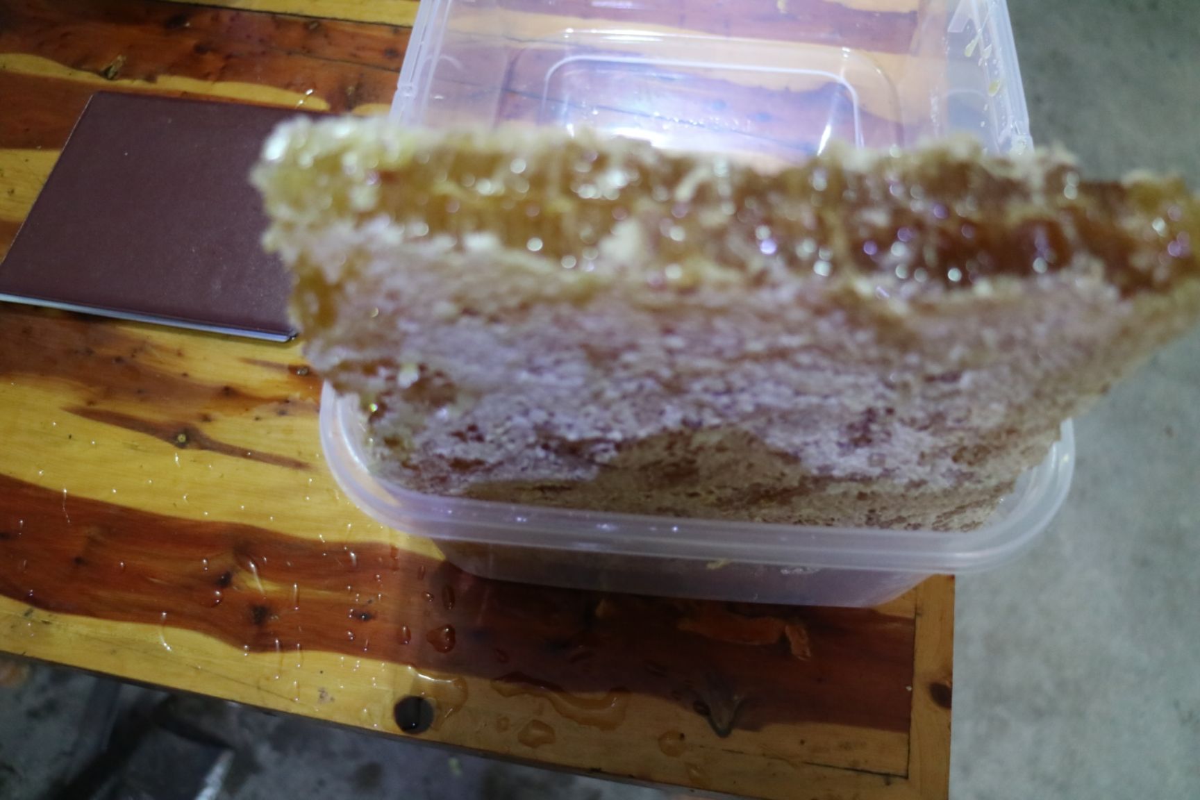 土蜂蜜 桶装 90%以上 2年以上