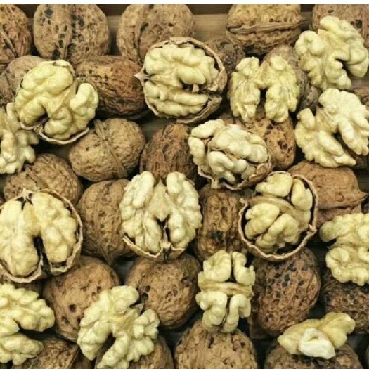 安顺纸皮核桃 