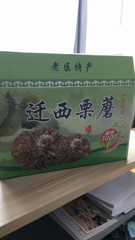 唐山迁西栗蘑