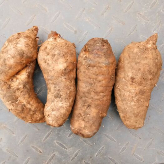 略阳县宁陕天麻