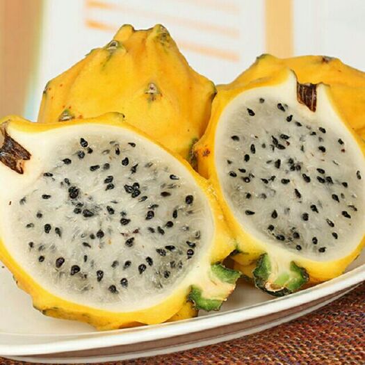 灵山县黄皮火龙果苗