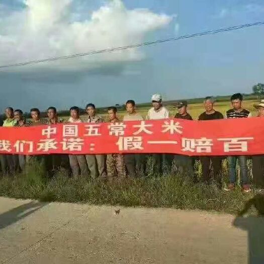 扶余市 稻花香大米 一季稻 粳米 一等品