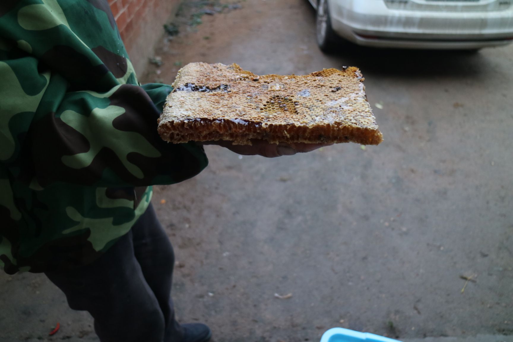 土蜂蜜 桶装 90%以上 2年以上