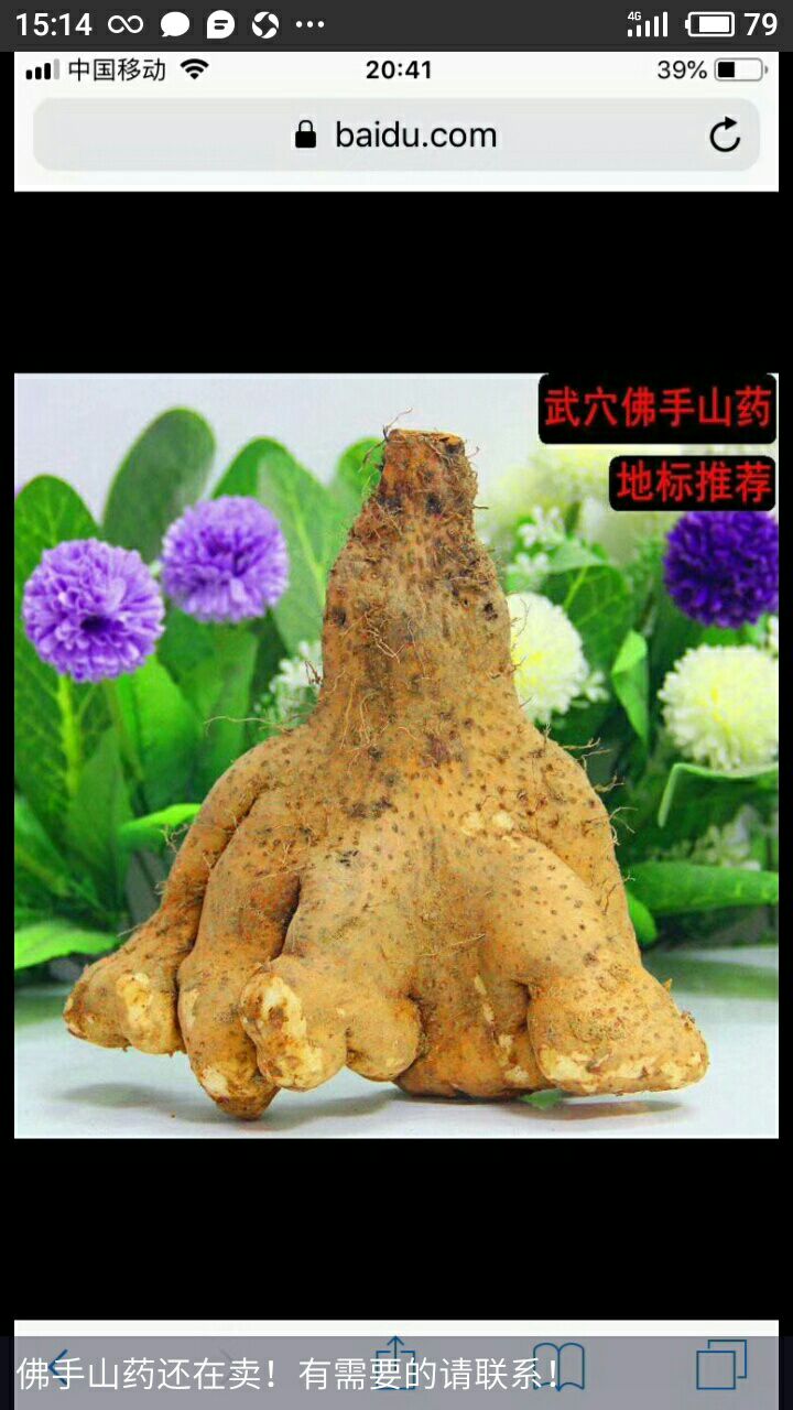 佛手山药 通货 