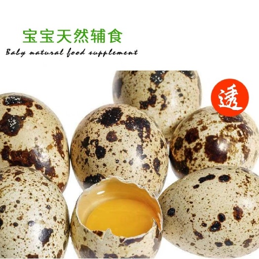 内黄县黄羽鹌鹑蛋 食用 箱装 