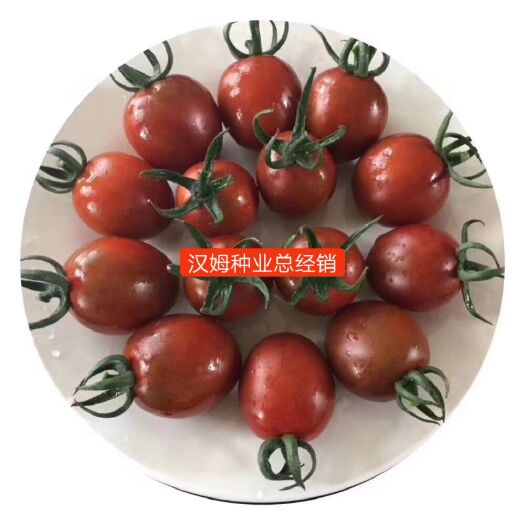 寿光市樱桃番茄种子 ≥90% ≥99% 杂交种 