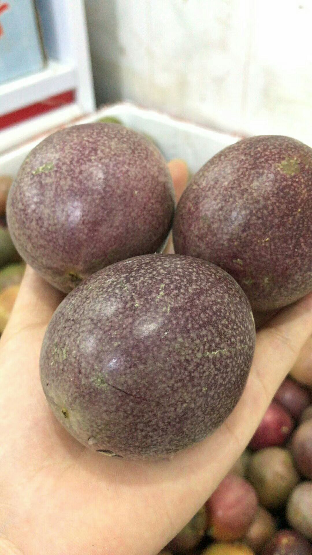 紫香一号百香果 90 - 100克