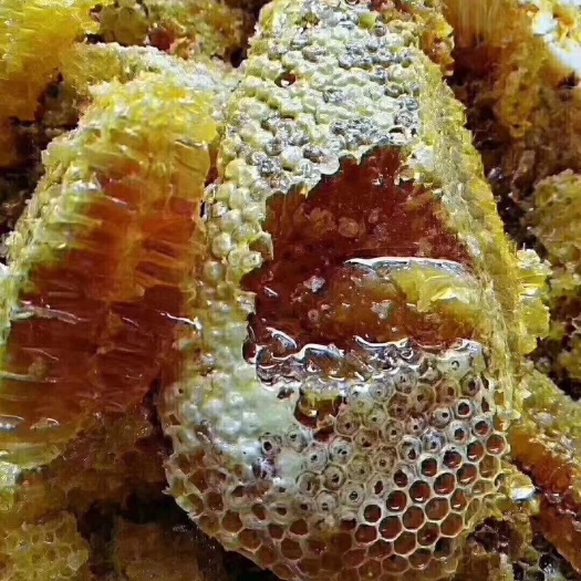 彭水土蜂蜜 玻璃瓶装 98% 2年