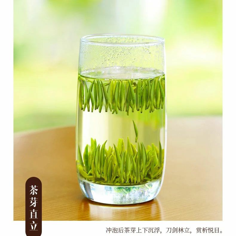 新茶2025年 雀舌