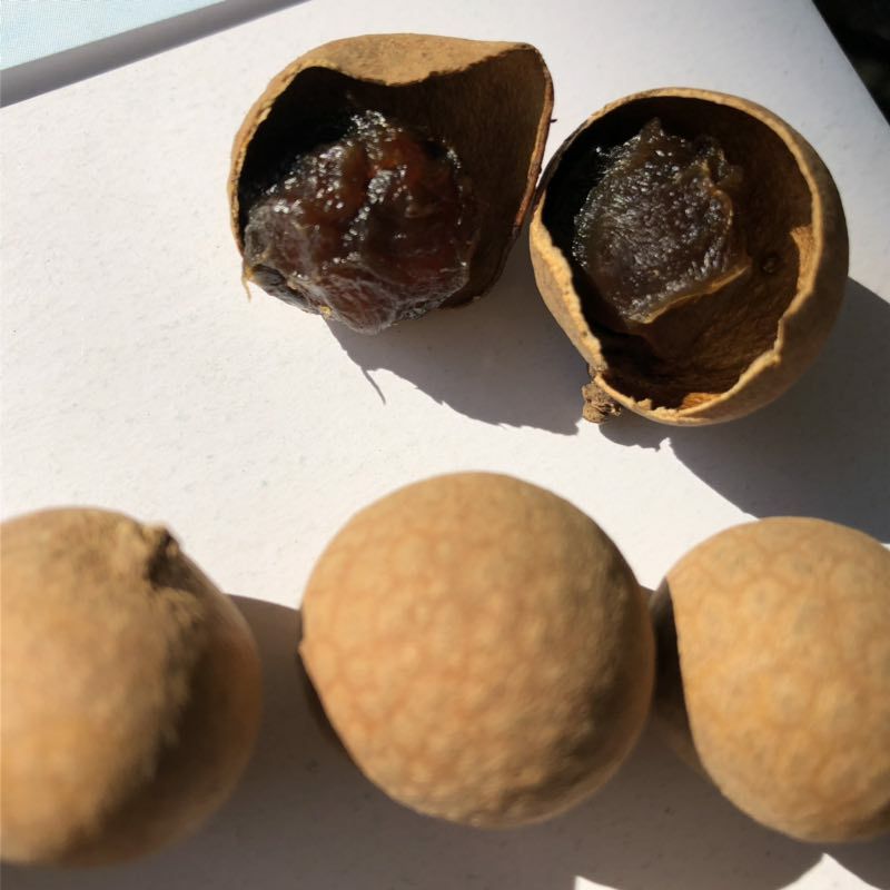 莆田桂圆干 内双层塑料袋+外纸箱 二等 带壳