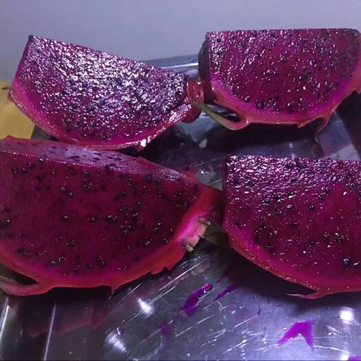 泰安红皮红肉火龙果苗