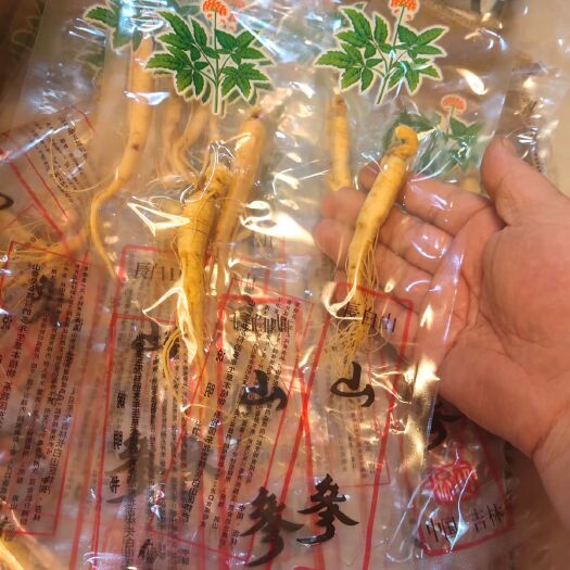 靖宇县林下参