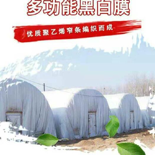 沭阳县黑白膜