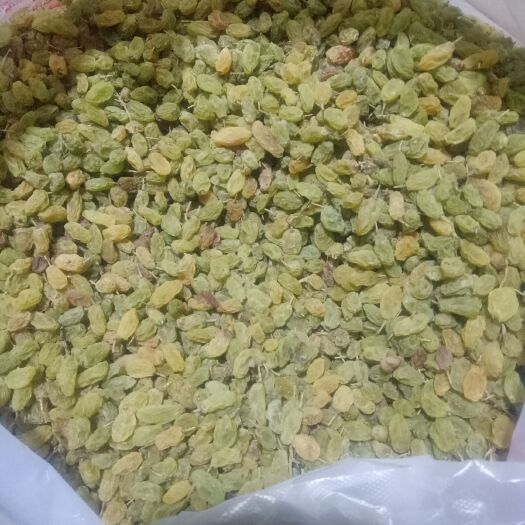 鄯善县新疆绿葡萄干 优等