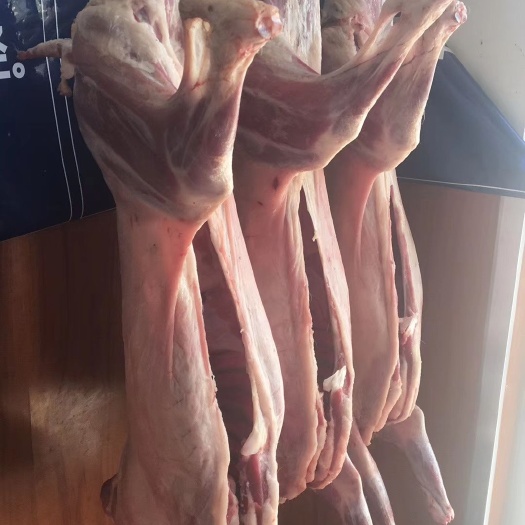 白条羊  山东羊白条，羊肉，羊下滑常年供应
