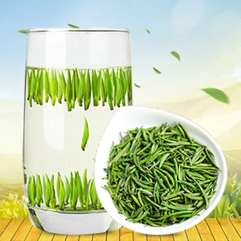 新茶2025年 雀舌