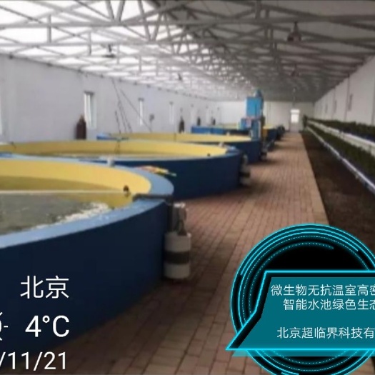张家口养殖大棚 高密度智慧养殖场