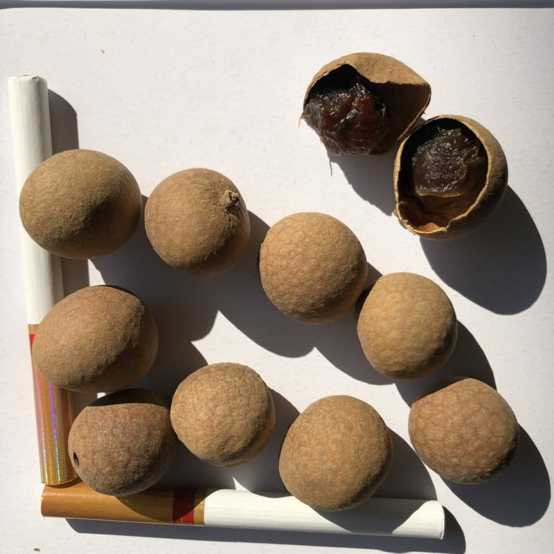 莆田桂圆干 内双层塑料袋+外纸箱 二等 带壳