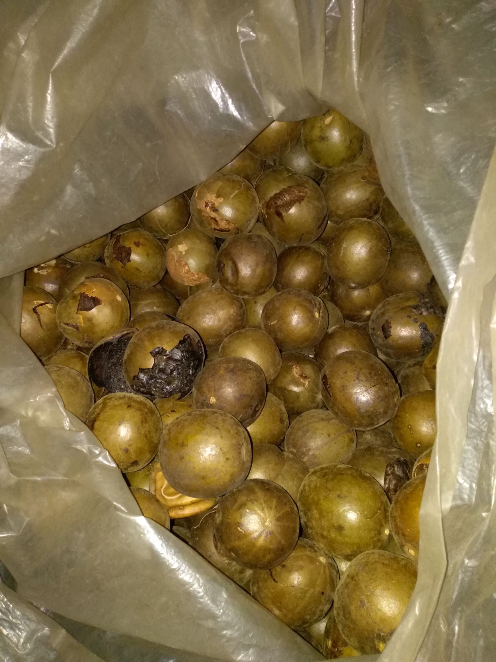 罗汉果干