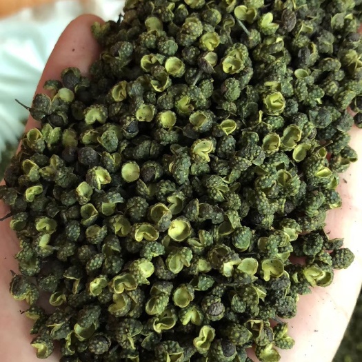 沧州九叶青花椒 干花椒 一级